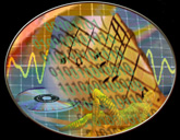 05.gif (16268 bytes)